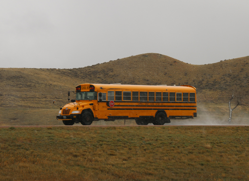 School Bus