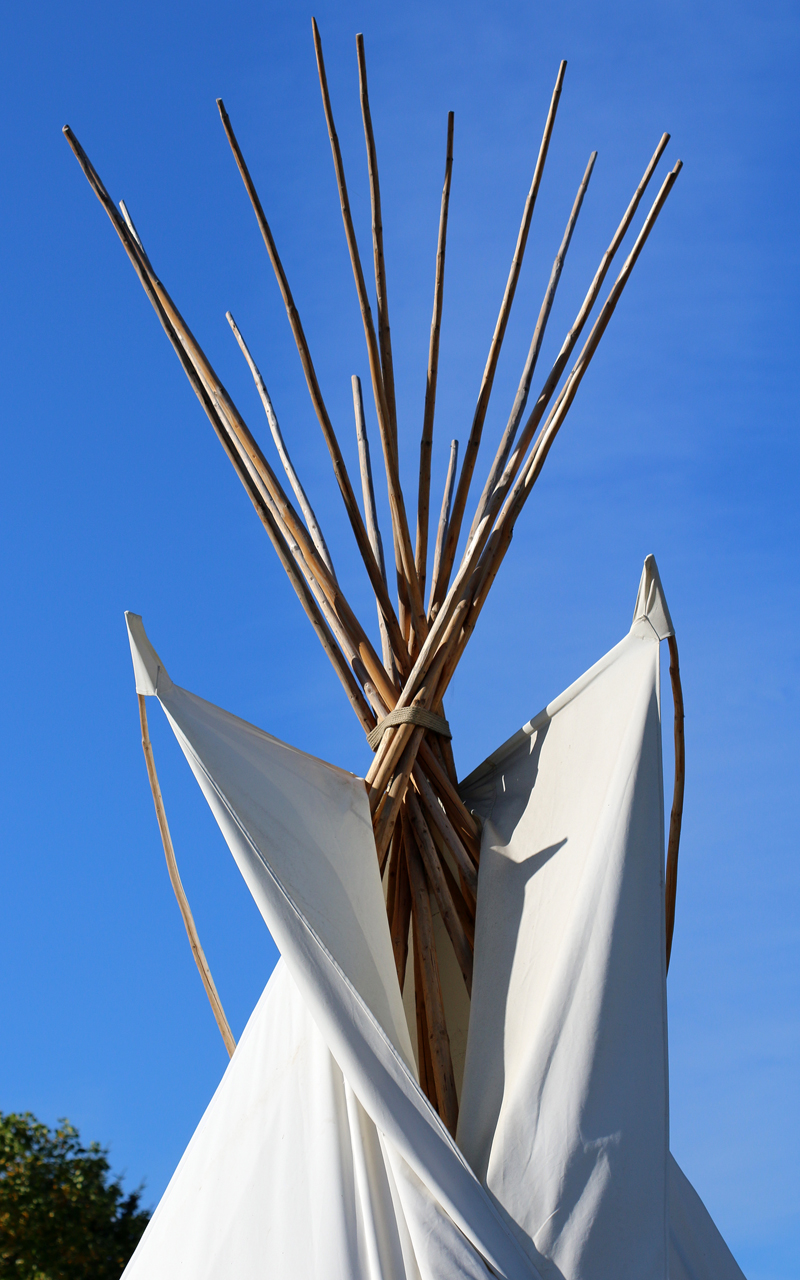 Tipi