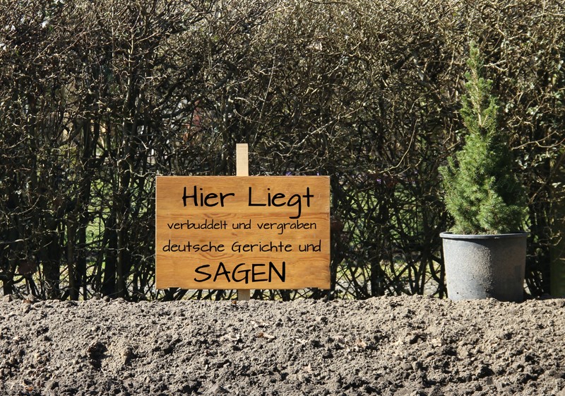 Sagen