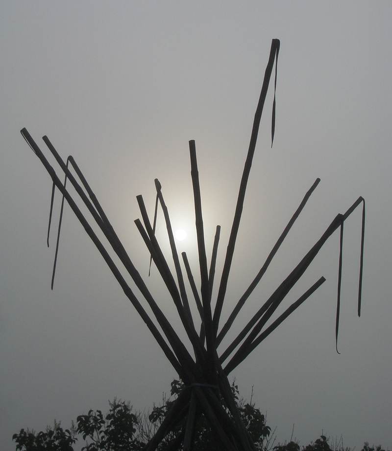 Morgennebel