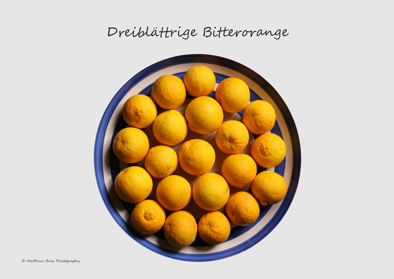 Dreiblättrige Bitterorange