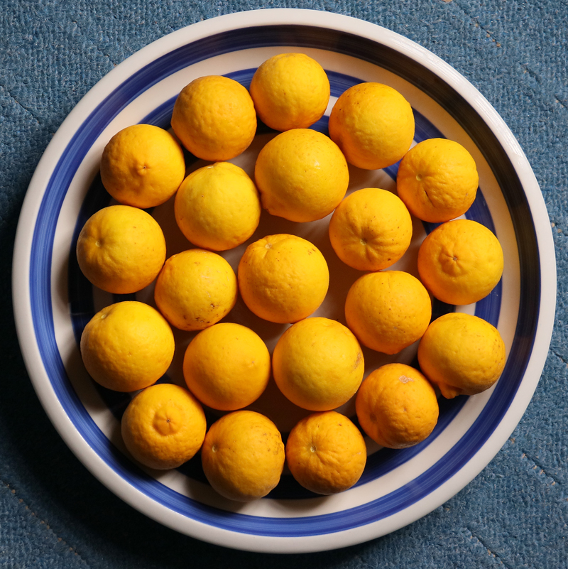 Dreiblättrige Bitterorange