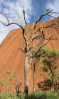 Uluru Uluru