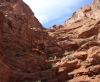 Arches National Park Arches National Park