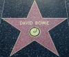 David Bowie David Bowie