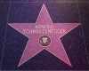 Arnold Schwarzenegger Arnold Schwarzenegger