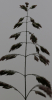 Naturfotografie