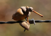 Naturfotografie Naturfotografie