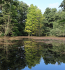 Naturfotografie Naturfotografie
