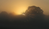 Sonnenaufgang Sonnenaufgang