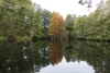 Herbststimmung