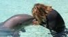 Delphin Delphin